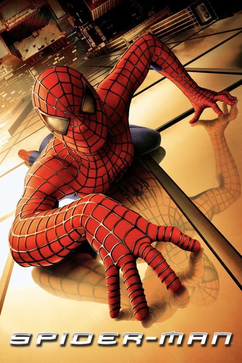 Poster for Spider-Man